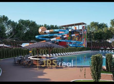 WhatsApp Image 2026-03-12 at 11.52.47