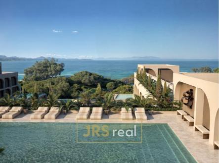 Orchid Casel de Paradise.