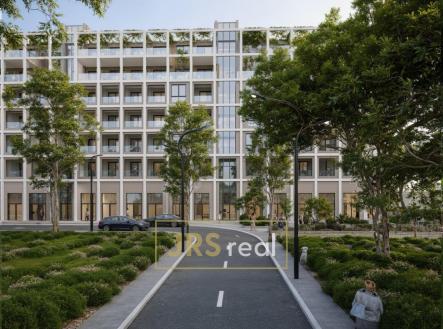 WhatsApp Image 2026-03-12 at 15.44.47 (6)