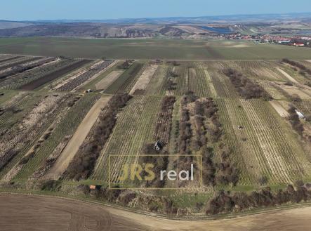 Prodej pozemku, ostatní, 4 065 m²