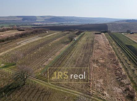 Prodej pozemku, ostatní, 4 065 m²