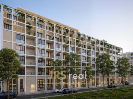 WhatsApp Image 2026-03-12 at 15.44.47 (1)