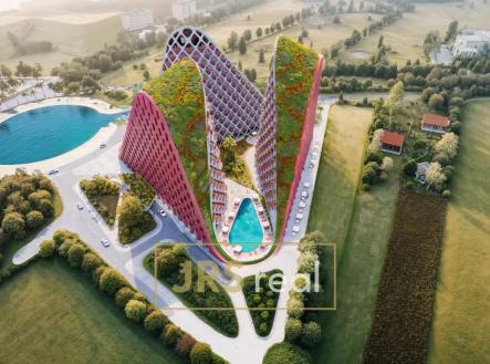 Orchid Casel de Paradise.