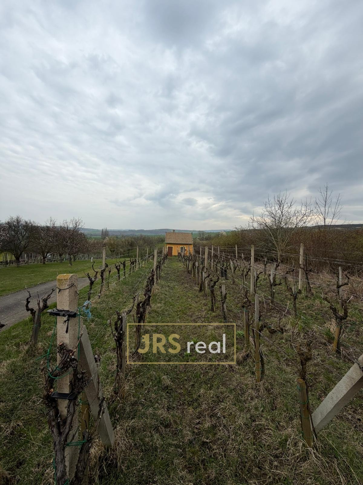 WhatsApp Image 2026-04-02 at 13.02.43