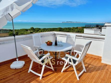 Orchid Casel de Paradise.