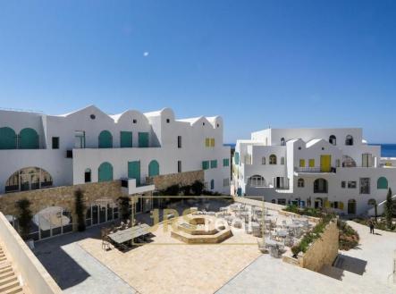 Orchid Casel de Paradise.