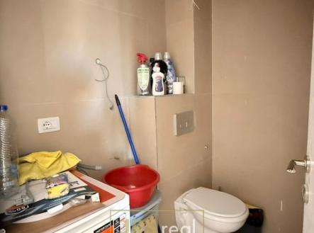 WhatsApp Image 2026-04-29 at 13.51.04 (6)