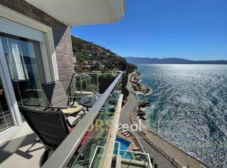 Orchid Casel de Paradise.