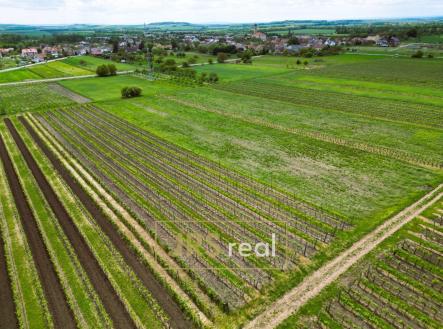 Prodej pozemku, ostatní, 3 474 m²
