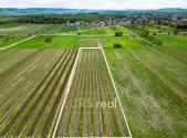 Prodej pozemku, ostatní, 3 474 m²