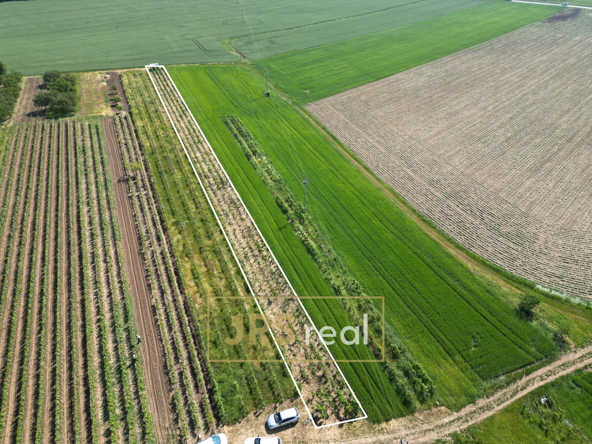 DJI_0107