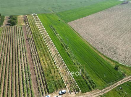 Prodej pozemku, ostatní, 1 135 m²
