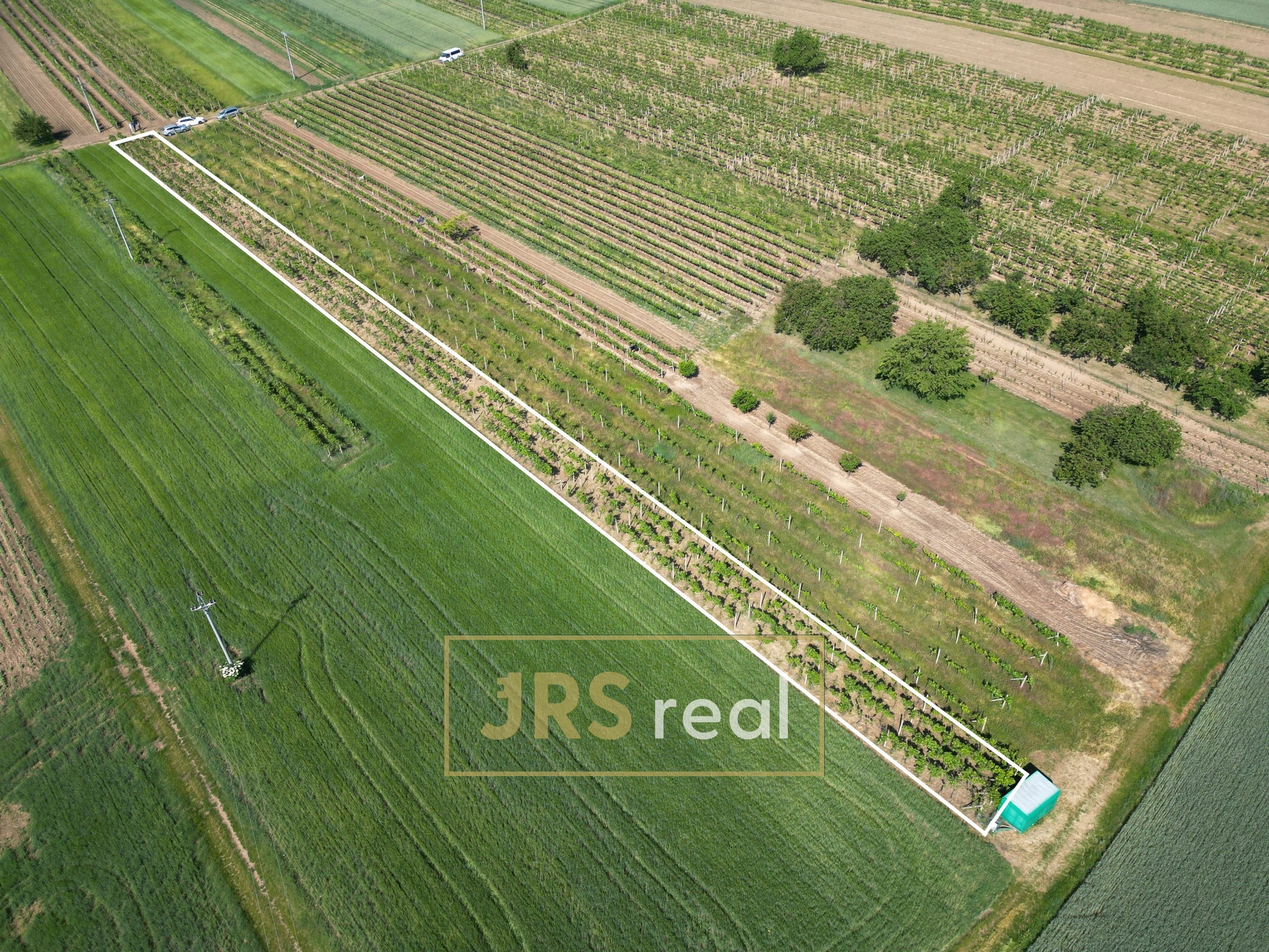 DJI_0113