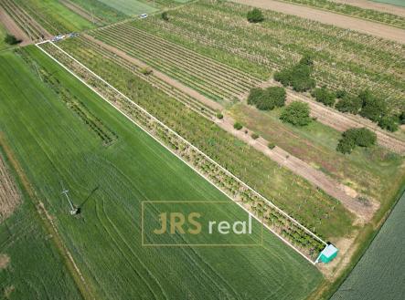 Prodej pozemku, ostatní, 1 135 m²