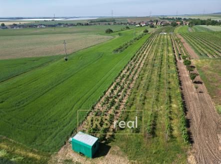 Prodej pozemku, ostatní, 1 135 m²