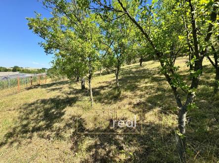 Prodej pozemku, zahrada, 530 m²
