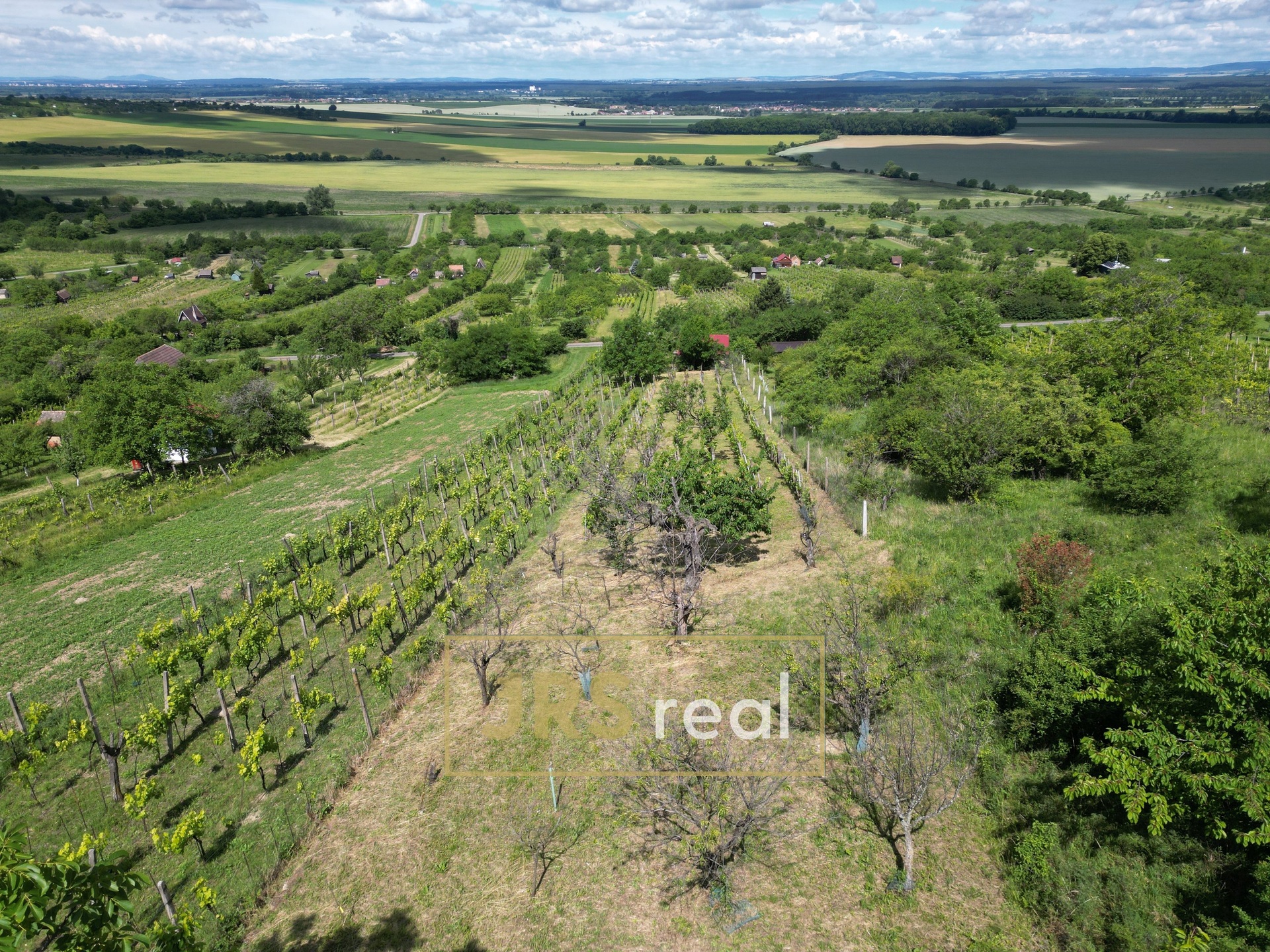 DJI_0155