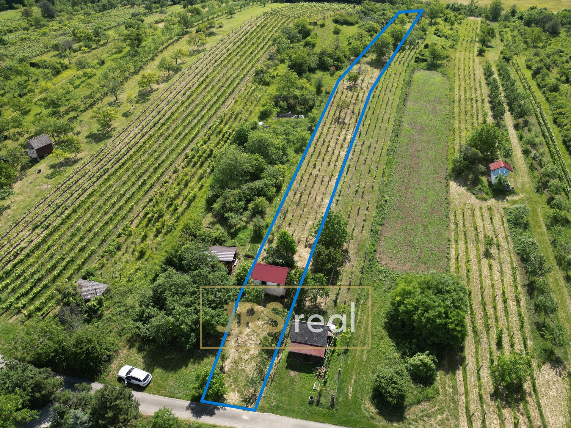 DJI_0146