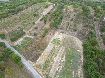 Pozemek 3 741 m² – vinice, zahrada a orná půda, Hustopeče