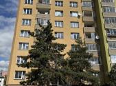 Pronájem bytu, 1+1, 36 m²