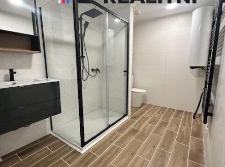 Pronájem bytu, 1+kk, 53 m²