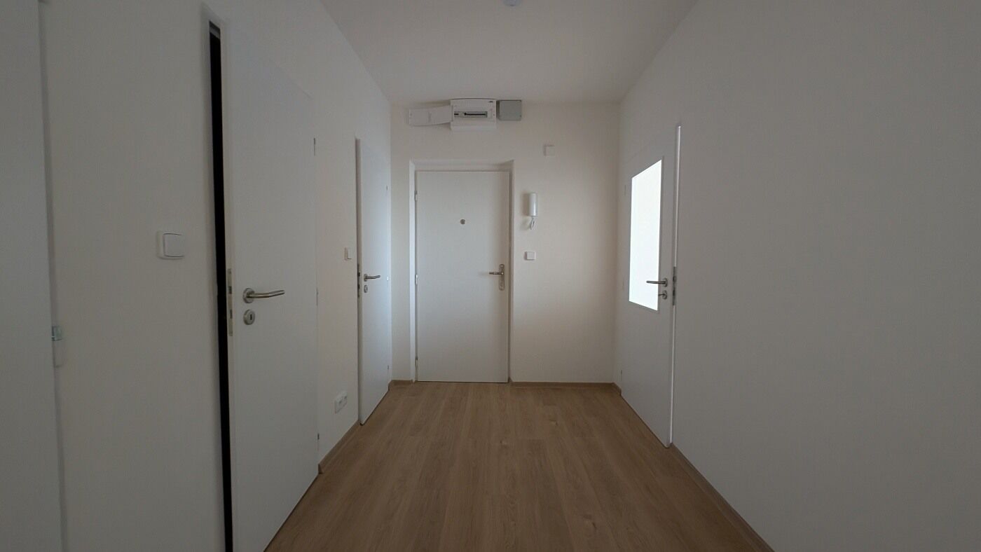 Fotku se nepodařilo načíst.