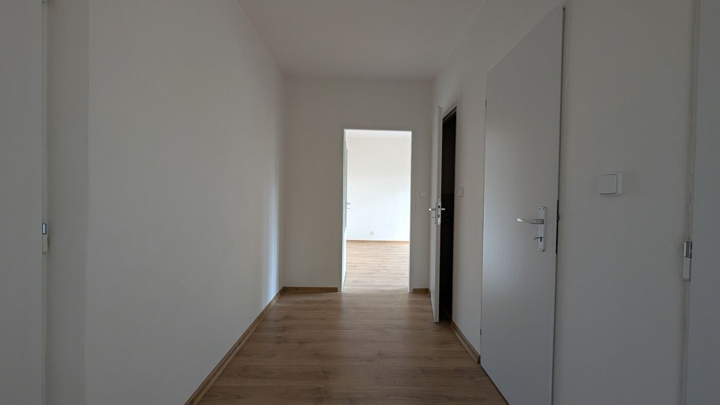 Fotku se nepodařilo načíst.