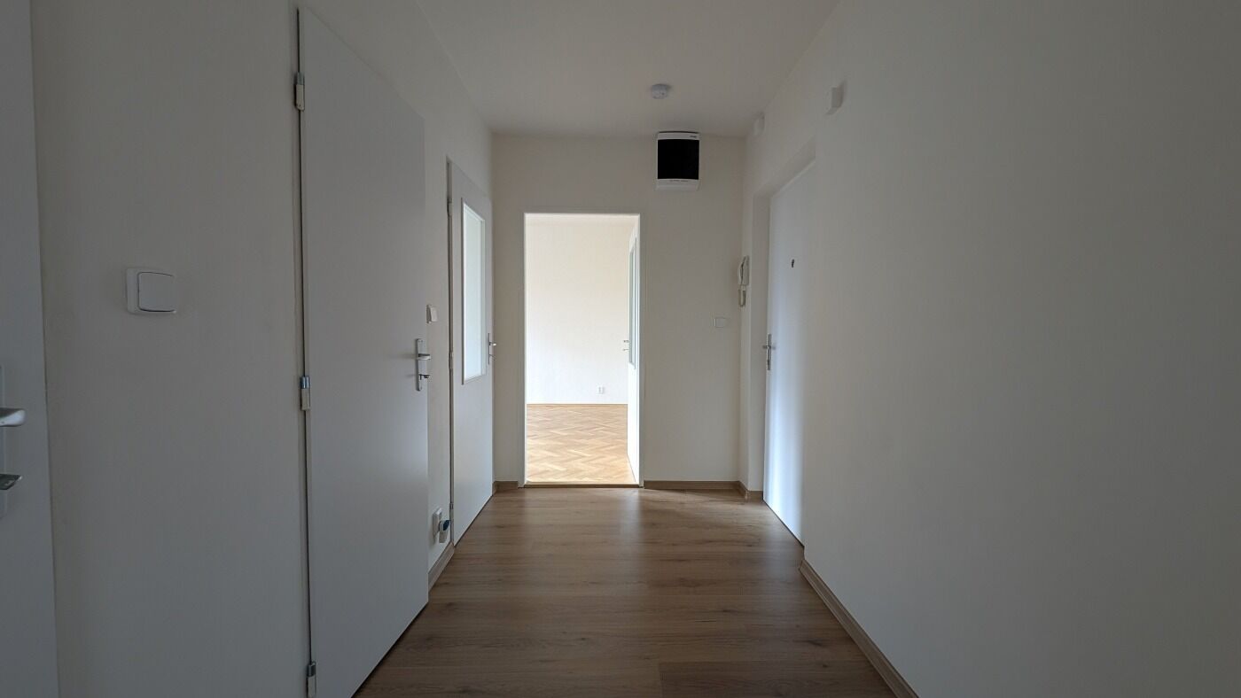 Fotku se nepodařilo načíst.