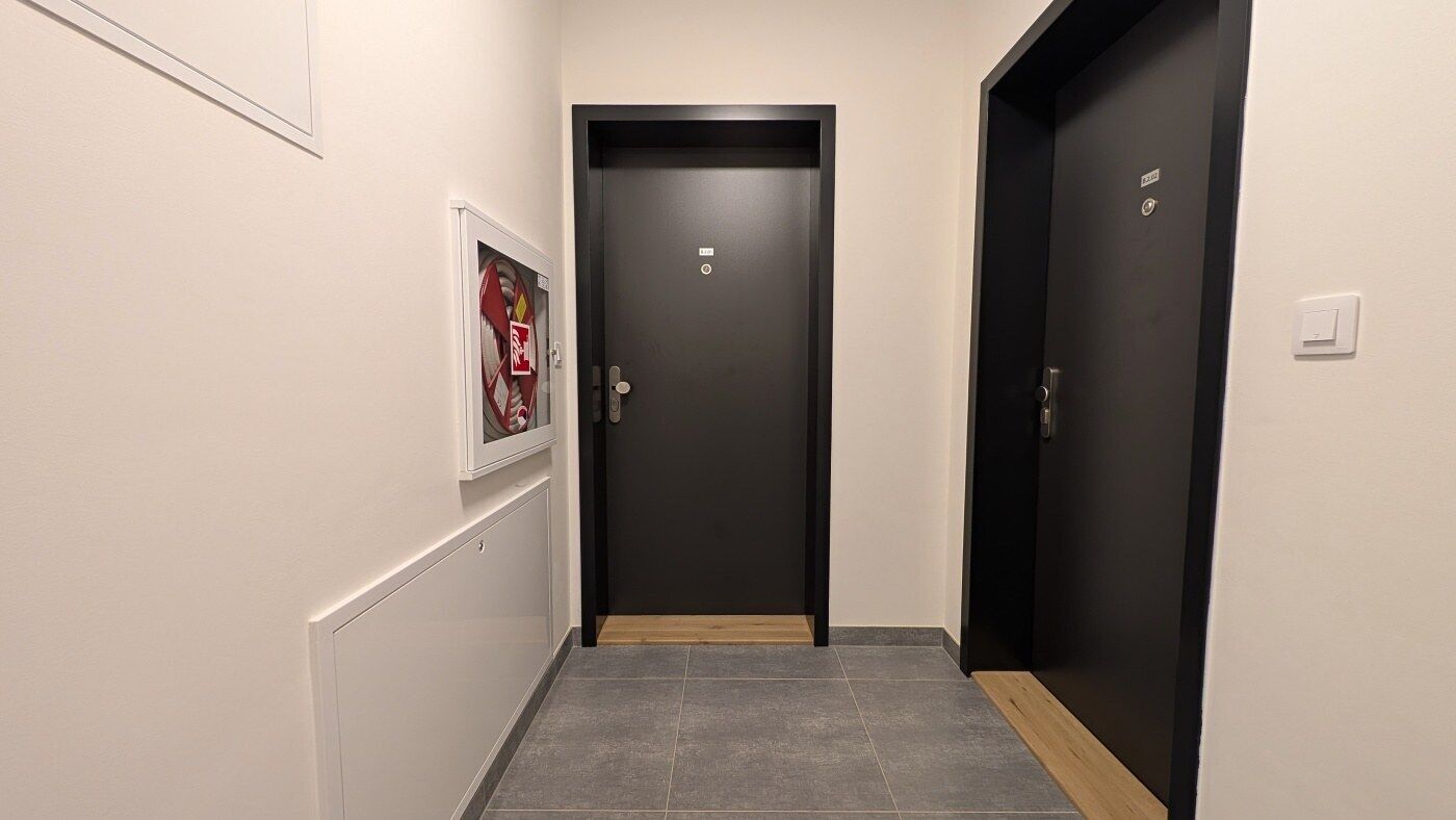 Fotku se nepodařilo načíst.