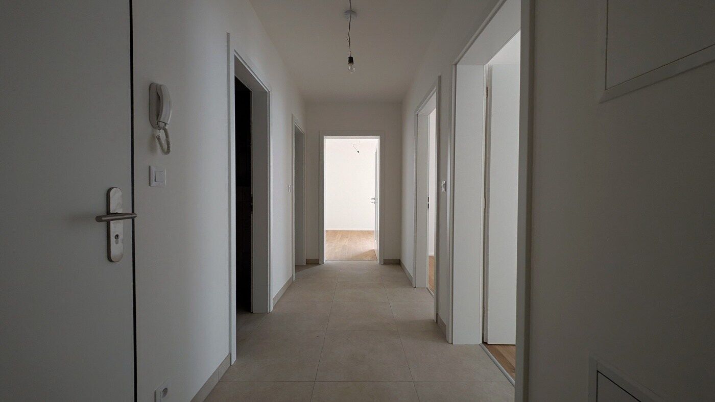 Fotku se nepodařilo načíst.