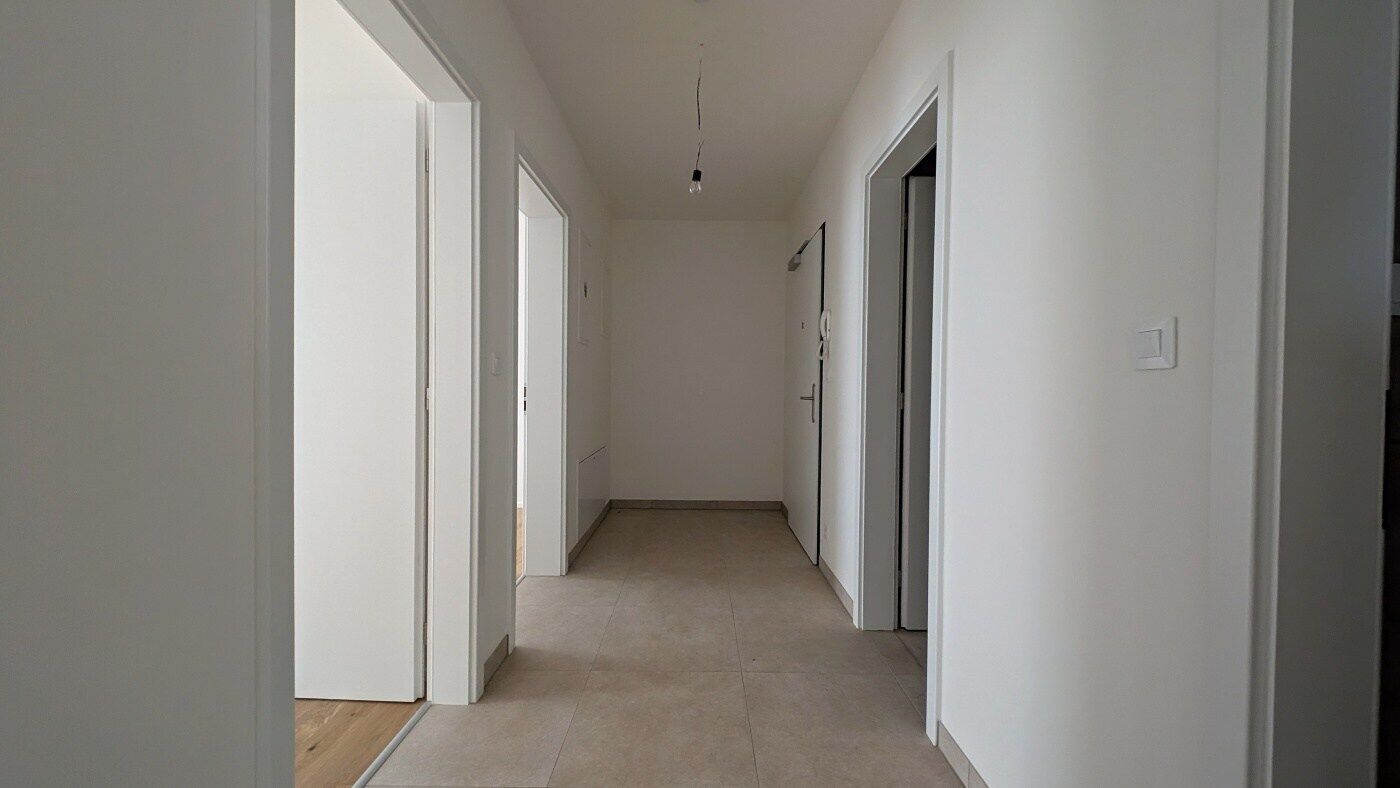 Fotku se nepodařilo načíst.