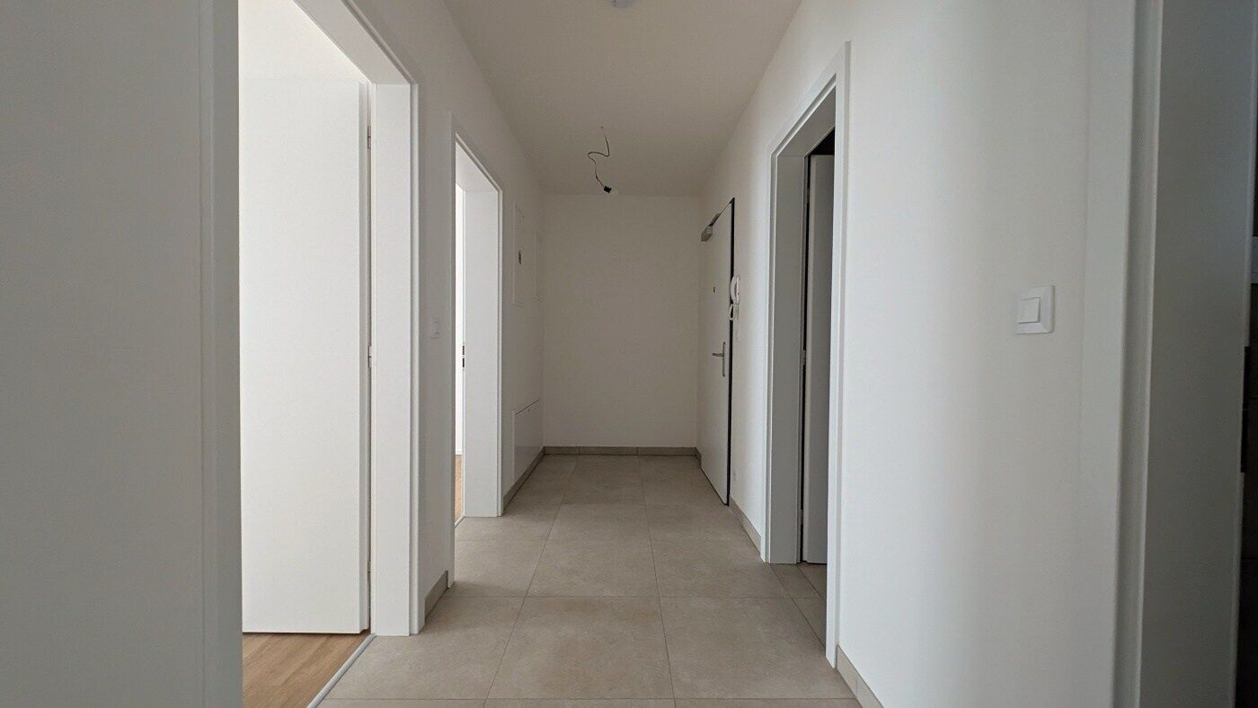 Fotku se nepodařilo načíst.