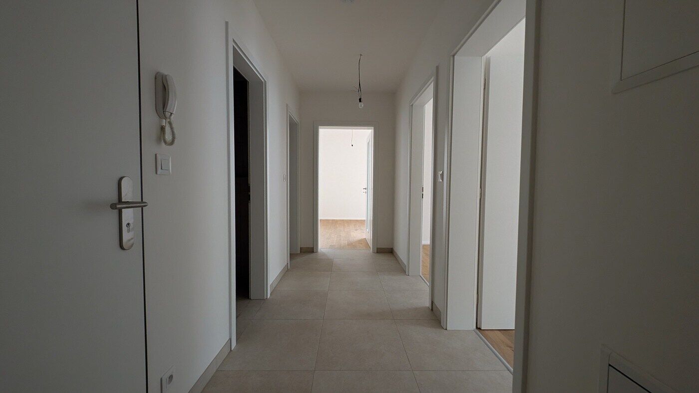 Fotku se nepodařilo načíst.