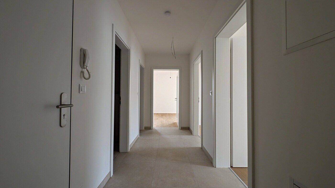 Fotku se nepodařilo načíst.