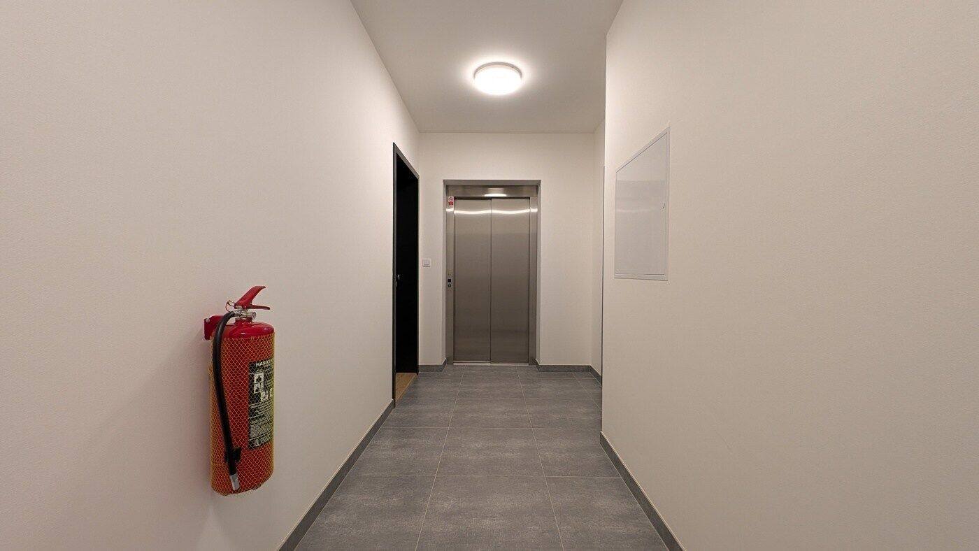 Fotku se nepodařilo načíst.