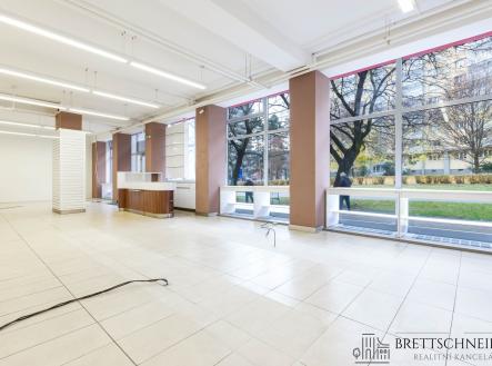 Pronájem obchodní prostor, 110 m²