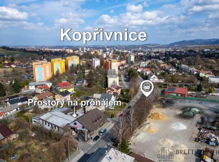 Pronájem komerčního objektu, sklad, 195 m²