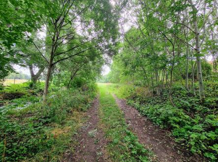 Prodej pozemku pro bydlení, 16 303 m²