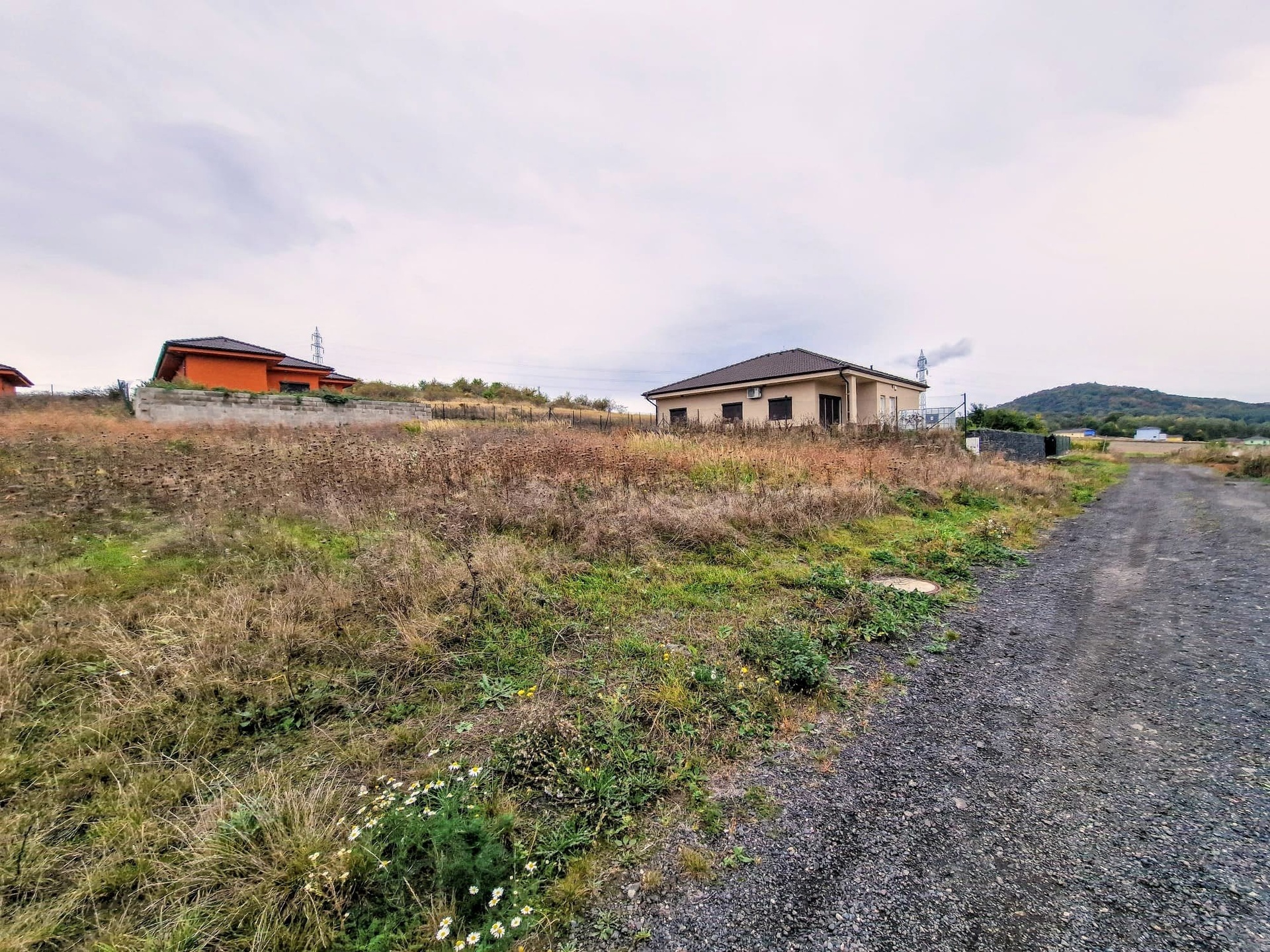 IMG-20231012-WA0004-EDIT (1)