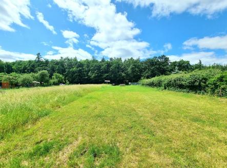 Prodej pozemku pro bydlení, 2 591 m²