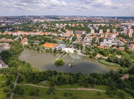 dji-0331.jpg