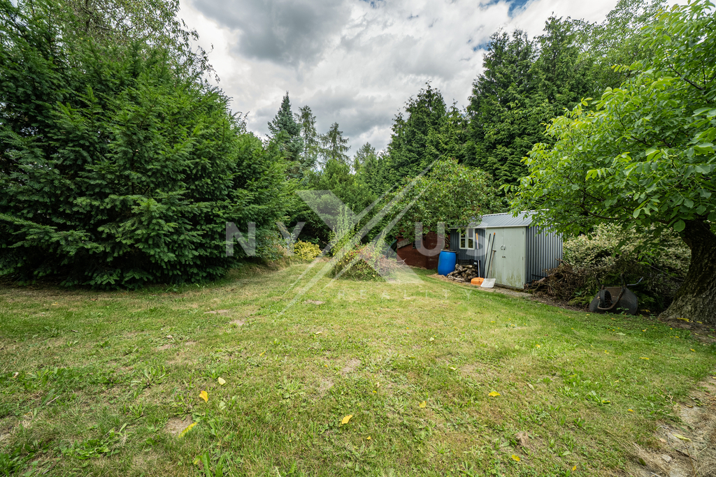 dsc03851-edit.jpg
