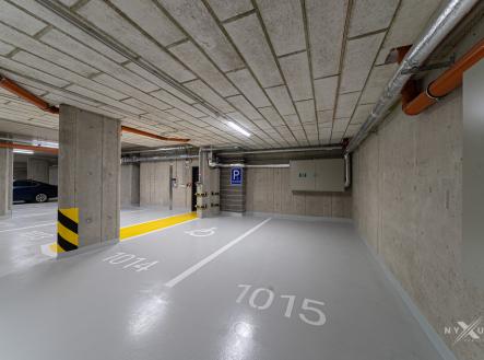 nxsp-004-v2-3flat-27-1.jpg