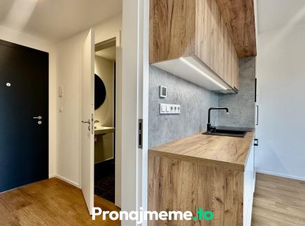 Pronájem bytu, 1+kk, 41 m²