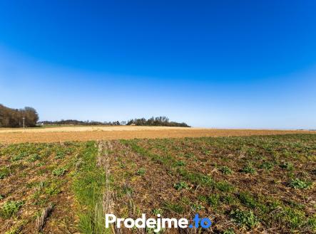 Prodej pozemku pro bydlení, 1 118 m²