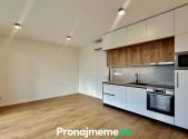 Pronájem bytu, 1+kk, 42 m²