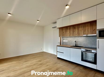 Pronájem bytu, 1+kk, 42 m²