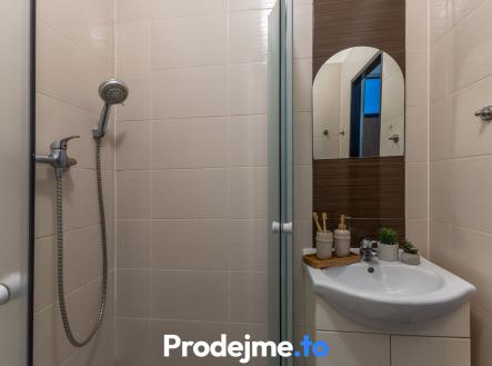 Pronájem bytu, 1+1, 42 m²