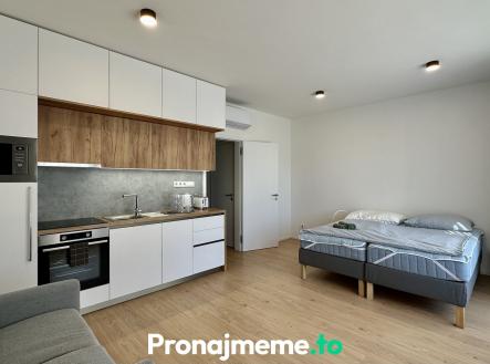 Pronájem bytu, 1+kk, 58 m²