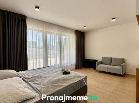 Pronájem bytu, 1+kk, 58 m²